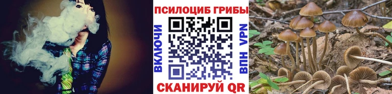 Псилоцибиновые грибы мицелий  Калачинск 